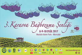 Фестиваль виноградного урожая в Бодруме