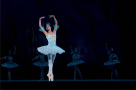 Ежегодный Международный фестиваль балета