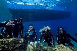 В Бодруме снимают фильм о подводных богатствах курорта