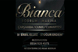 Диджейская вечеринка в клубе «Bianca Bodrum Marina»