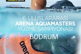 6-й Международный чемпионат по плаванию «Arena Aquamasters»