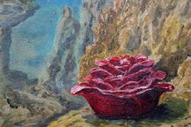 Единственный в мире подводный художник в Бодруме