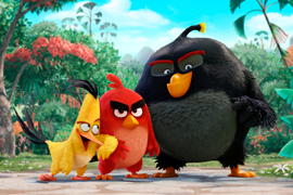 Детский спектакль «Angry Birds»