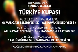 Кубок Турции по гандболу среди женщин