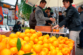 Фестиваль мандаринов в Бодруме