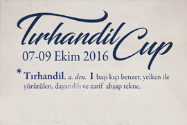 Впервые парусная регата «Tırhandil Cup» в Бодруме