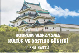 День культуры и дружбы народов Турции и Японии в Бодруме 