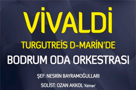 Концерт классической музыки в «D-Marin»
