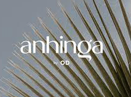 Anhinga by OD