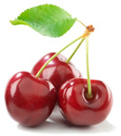 вишня вишня